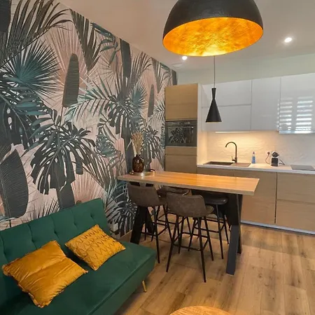 Tres Joli Petit Apartment