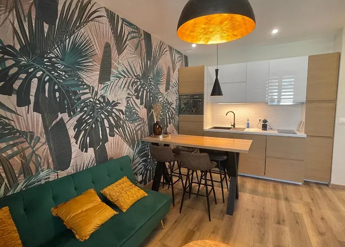 Tres Joli Petit Apartment